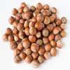 Blanched Hazelnuts/ Hazelnuts Inshell & Kernels/ Organic Hazel Nuts