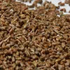 good quality cassia tora seeds with cheap price