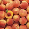 Premium Quality Fresh Peaches