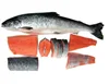 Frozen Salmon Fillet,Fresh Frozen Salmon Fish ,Frozen Chum Salmon Fillet for sale