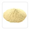 Wholesale Organic Psyllium Husk Powder