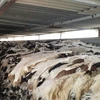 QUALITY WET SALTED COW HIDES AND OTHER HIDES FOR SALE