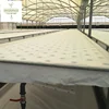 Polyfilm Greenhouse Climate Control System for Professional Hydroponics