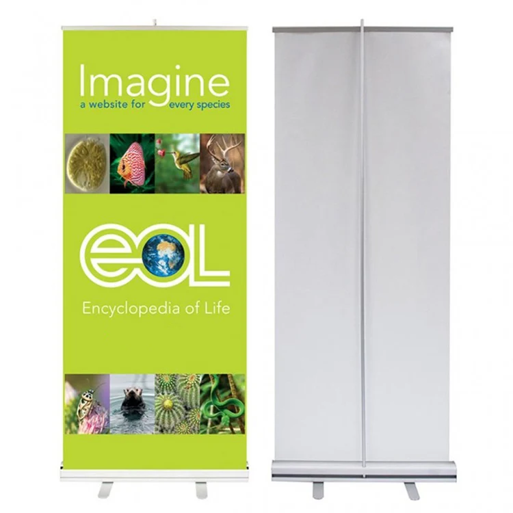 Factory High Quality Roll Up Banner Size Pixels Vistaprint Design