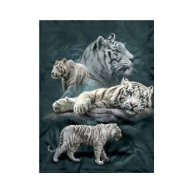 Gambar Anime 3d Lenticular Resolusi Tinggi Harimau Putih Buy 3d Anime Gambar Harimau 3d Gambar Harimau Lenticular 3d Harimau Product On Alibaba Com