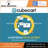 Cubecart Ecommerce Website Development Provides an Excellence Ecommerce Solutions.