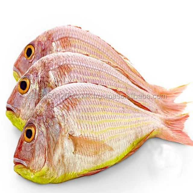 Tongue-Sole 1.jpg