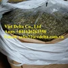 DRIED CORN SILAGE / ANNY +841626261558