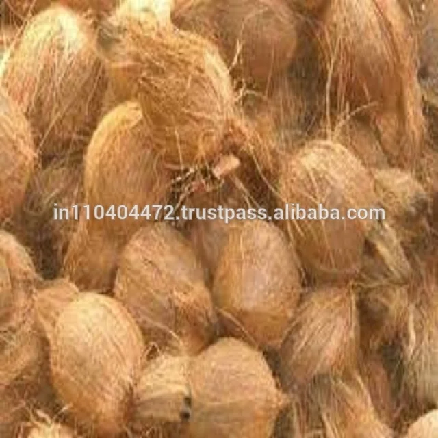 India Fresh Coconut Is Reasonable Price Buy Cheap Fresh Coconuts