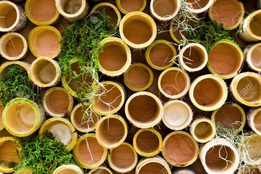 viet nam natural bamboo pole big bamboo poles/ cheap price