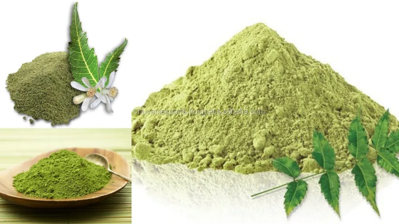 Kering Daun Neemneem Bubuk Daun Buy Neem Leaves Bubuk Product On