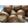 Hot Price Macadamia Nuts Cracked Shell with High Quality.