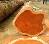 High quality beech wood, beech logs, round timber