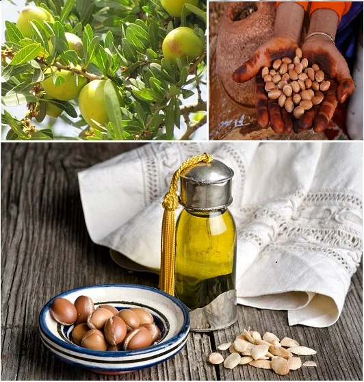 Pure Organic Argan Oil In Bulk Size / Usda Certified Buy Organic