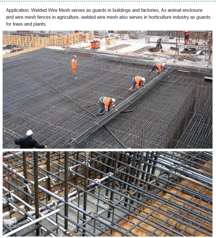 Metal Screen Steel For Concrete Foundations 6x6 Reinforcing Welded Wire Mesh Price