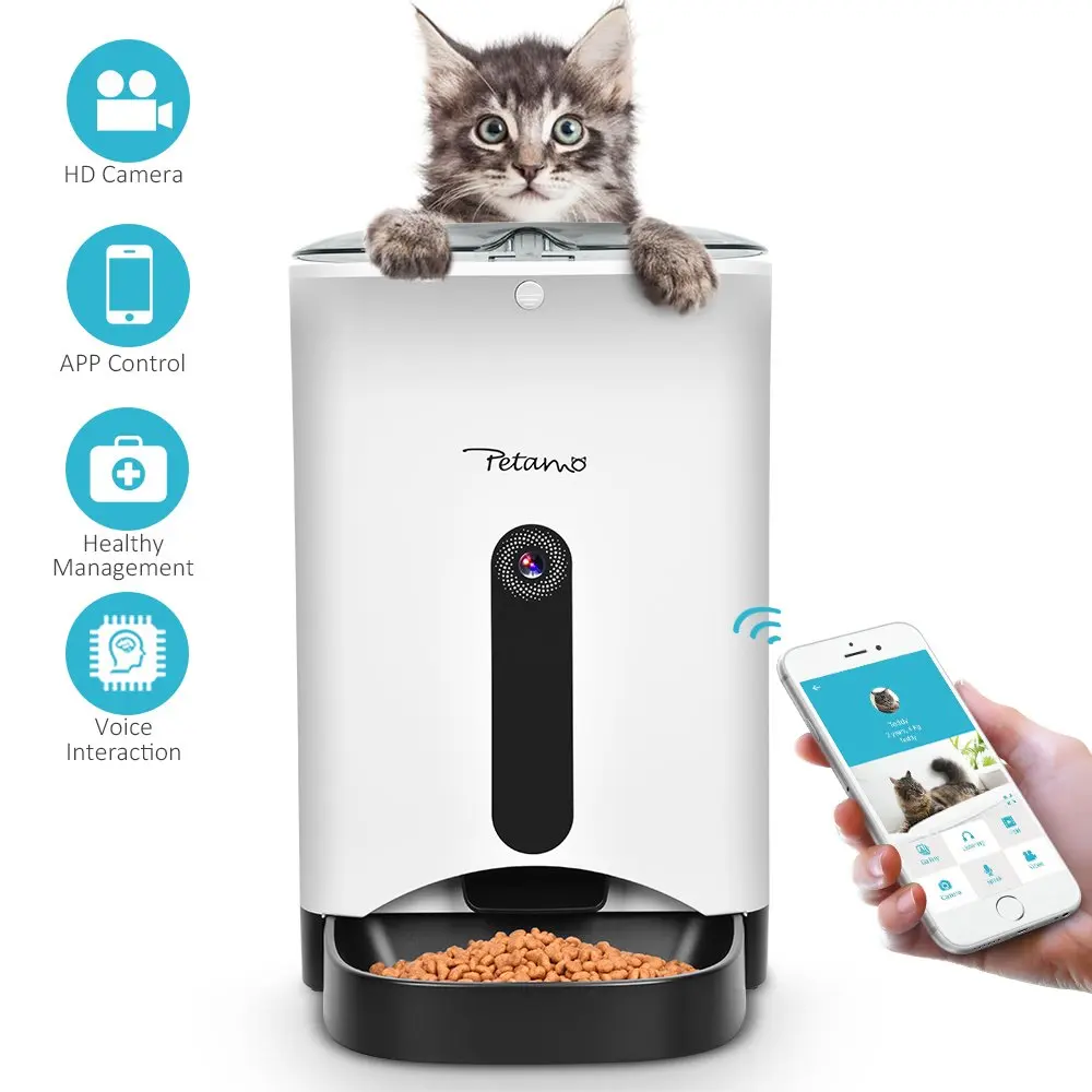 automatic dispenser cat food