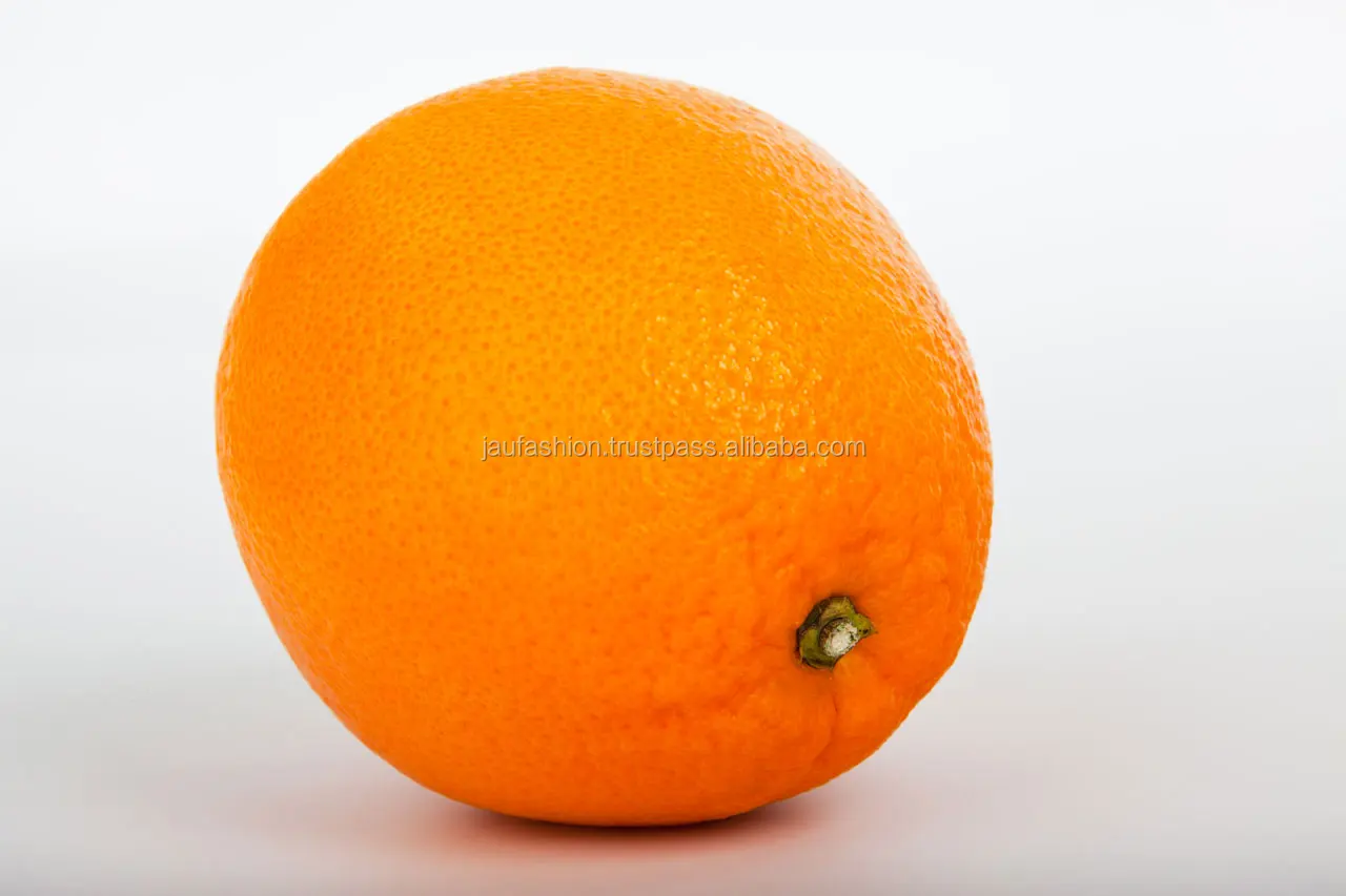 Fresh Indian Orange / Export Quality Indian Orange / Quality Orange For