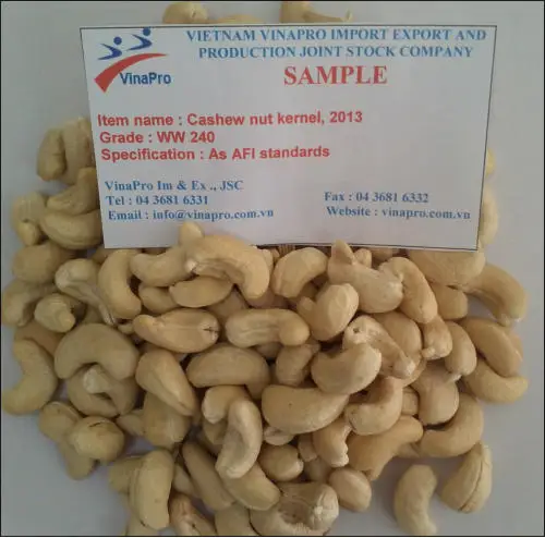 Vietnam Cashew Nut Ww240 Best Price 