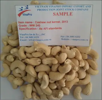 companies that import cashew nuts