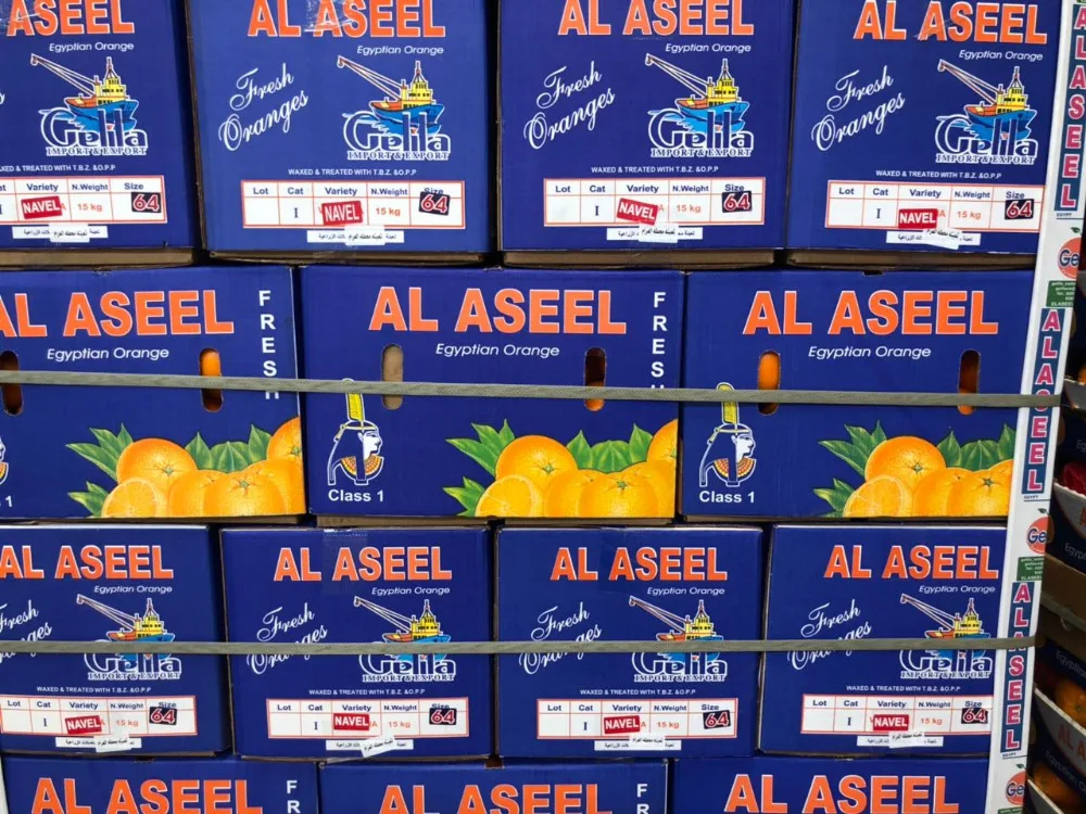 Valencia Oranges,All Quality Categories ( Premium Grade A Grade B