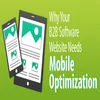 Website image optimization software