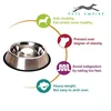 Ski Group Of Stainless Steel Pure Silver Slow Feeding Blue Rubber Non Skid Dog Bowl