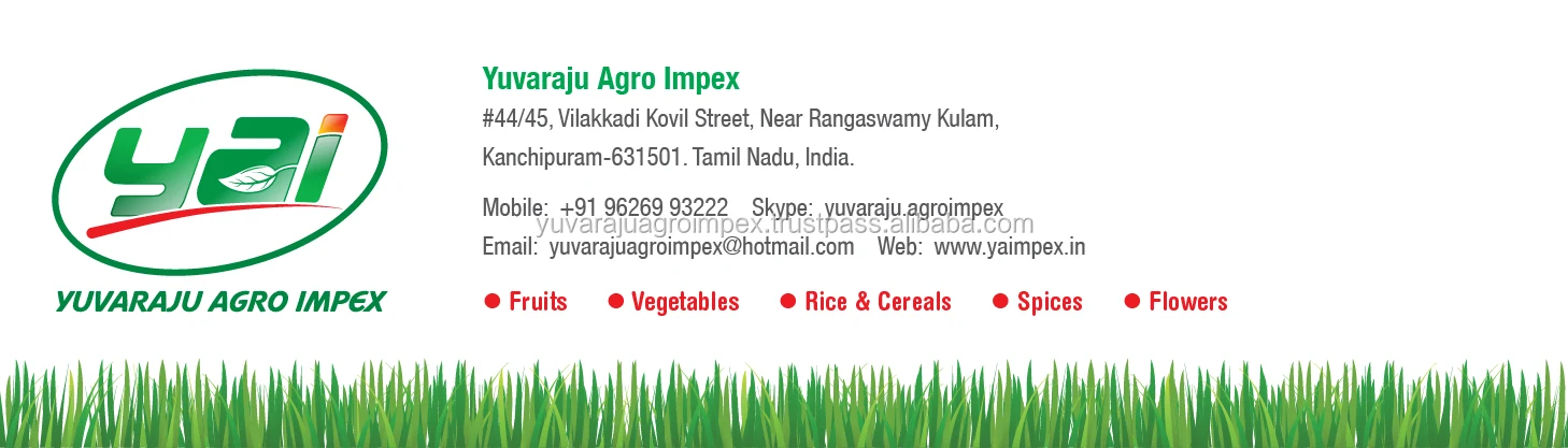 YAI_Email Signature.jpg