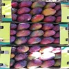 Fresh Mango