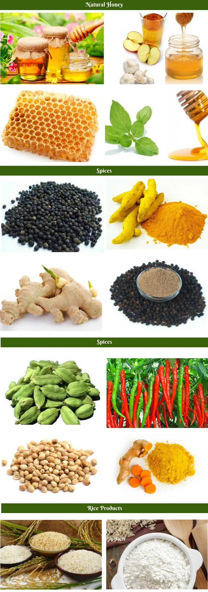 Inidan Asset (2).jpg