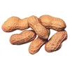 Hot selling natural typical red skin peanut in Vietnam