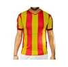 Soccer Team Uniform Football Jersey Shirt Design / Top Quality Soccer Uniforms