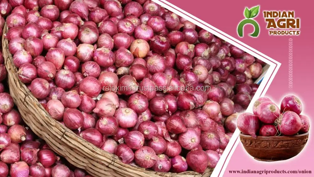 Red Onion Price For Sri Lanka Buy Red Onion Price For Sri Lanka,Red