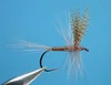 Red Quill Dry trout flies