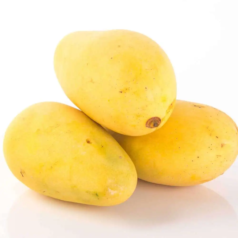 Frische <b>Mango</b>-Pakistan <b>Mango</b>-EU Qualität <b>Mango</b>. 