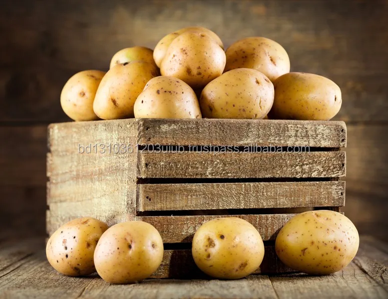 Bangladesh Fresh Vegetable Potato Buy Price Of Fresh Potatoes,Potato Export To Dubai,100