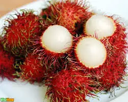 Canned Rambutan In Light Syrup from Vietnam