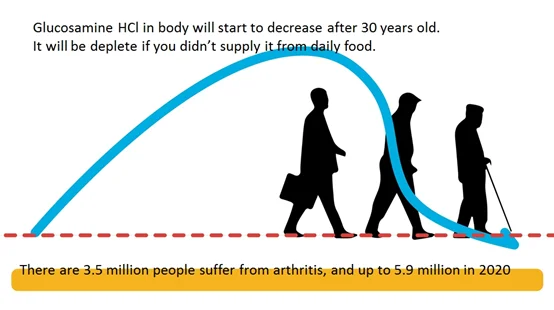 Collagen Powder Glucosamine HCL Brands Joint Care