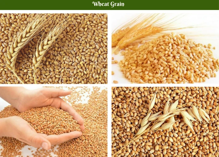 Замените пшеничные зерна