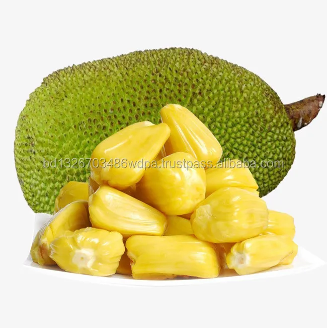 Fresh High Quality Seasonal Jackfruit From Bangladesh - Buy Jackfruit ...