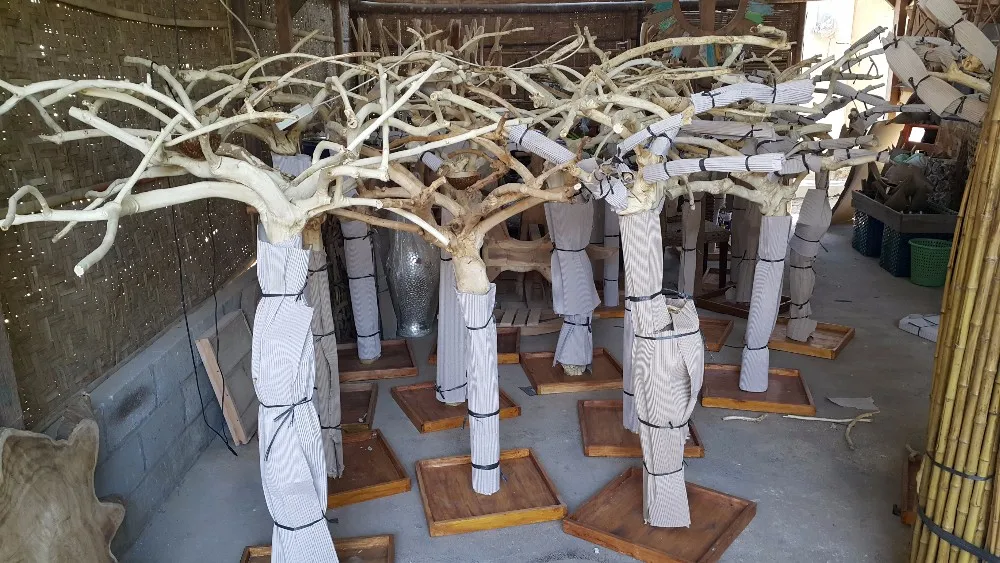 Java Wood Tree Play Stand,Javawood Coffee Tree Bird Perch,Multi