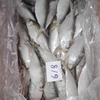 /product-detail/frozen-hilsa-fish-dotted-gizzard-shad-fish-sardine-whatsapp-0084-989-322-607-62002613925.html