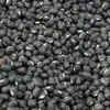 Black Matpe (Fair Average Quality)