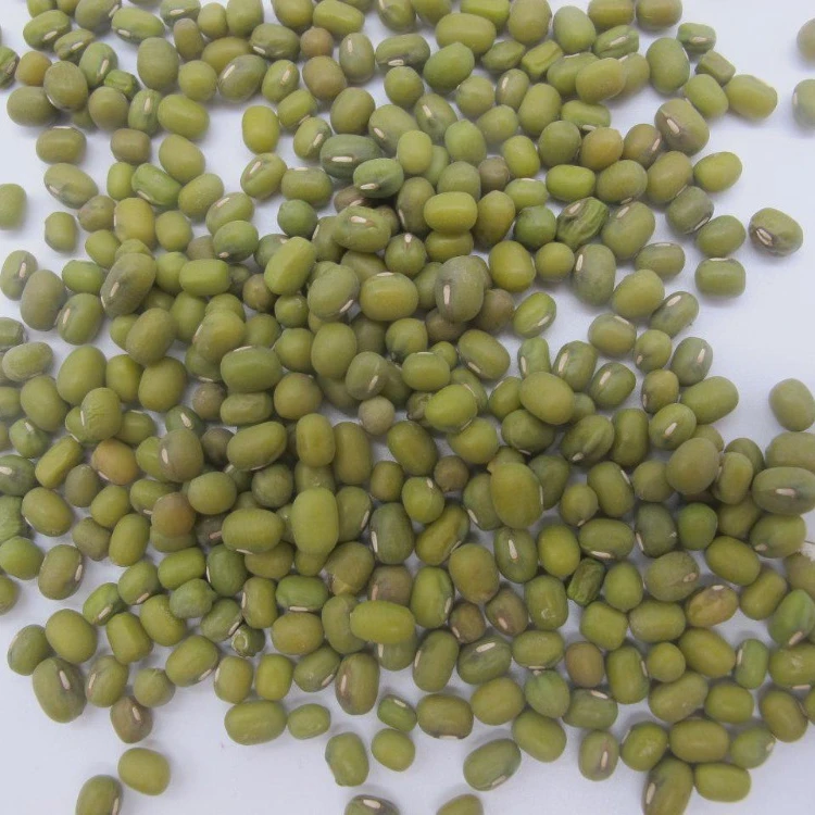 
High Quality Uzbek Green Mung 