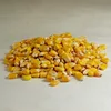 Non GMO Yellow maize/corn
