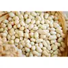 blanched peanut kernel