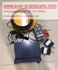 Tadano crane OEM display/moment limiter/computer/ TS-75/TL-200E/TL250E/TG-500E...