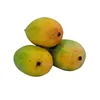 Gujarat Original Kesar Mangoes