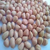 Indian Java Peanuts Kernels