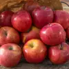 Fresh golden delicious apple, Sliced fresh golden delicious apple