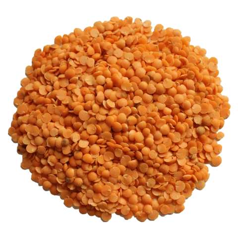organic red lentils images